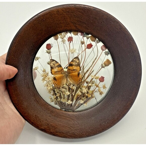 2-Vintage The Brazilia Collection By Dunston Butterflies & Dried Flowers 6.5" - Picture 13 of 14